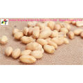 peanuts kernels/chinese peanut butter/red skin peanut kernel